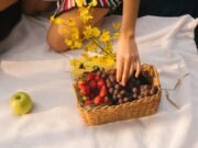 Was sind gute Fette und warum sind sie wichtig?