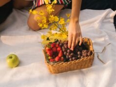 Was sind gute Fette und warum sind sie wichtig?